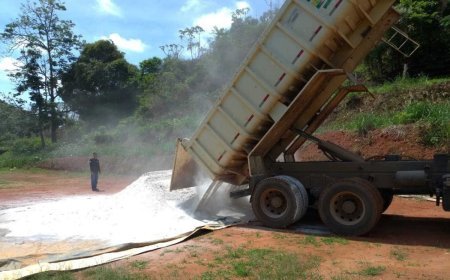 Viçosa inicia entrega de calcário adquirido por compra conjunta