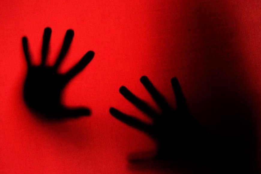 Casa das Mulheres atendeu mais de 300 mulheres em situação de violência em Viçosa no 1º semestre de 2026