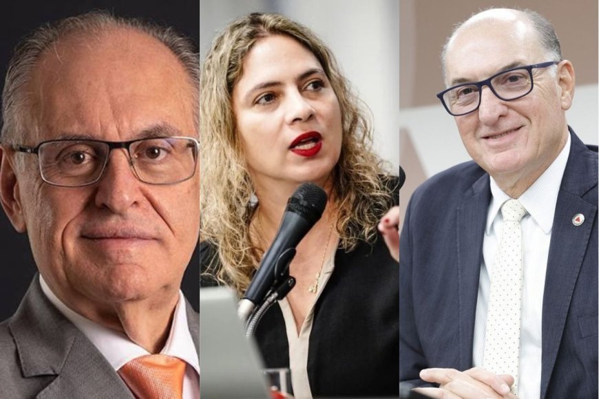 Veja os deputados estaduais mais votados em Viçosa