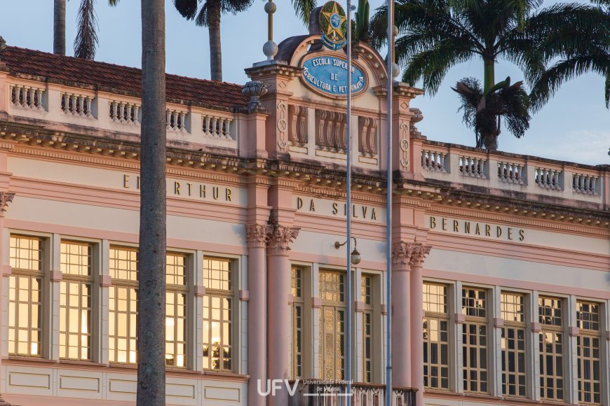 UFV abre inscrições para 20 programas de doutorado e mestrado