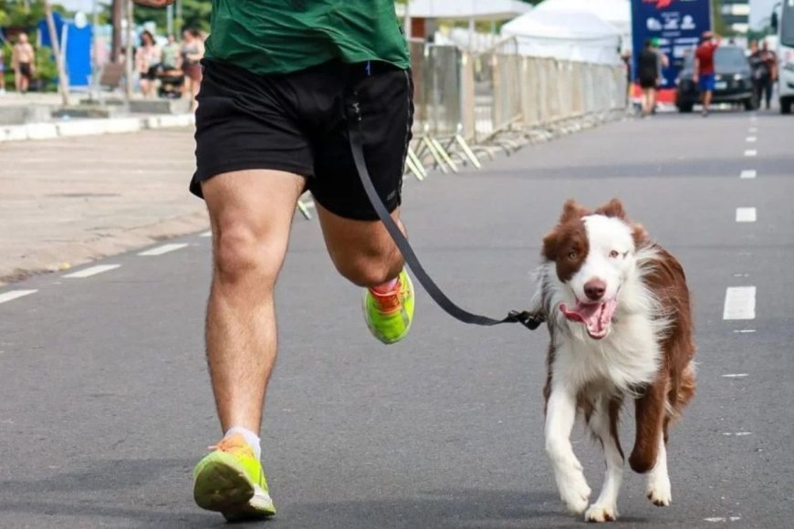 Empresa júnior da UFV promove corrida para tutores e pets
