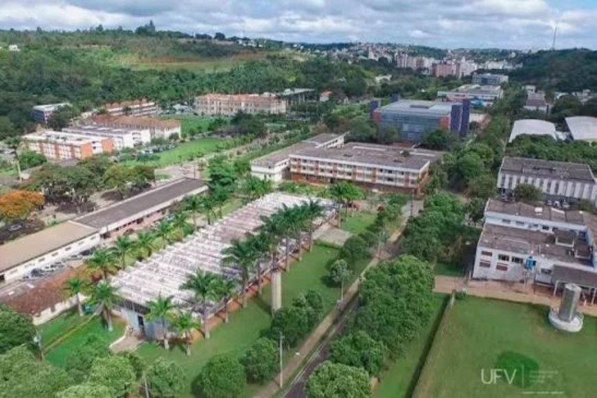 UFV recebe Conferência Internacional de Economia Criativa e Políticas Públicas