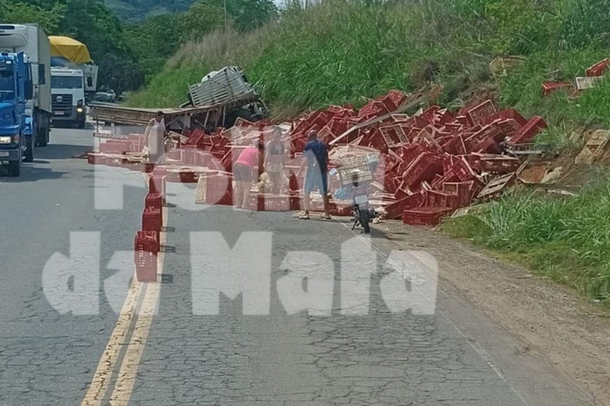Caminhoneiro perde controle e derruba carga com galinhas entre Ubá e Rodeiro