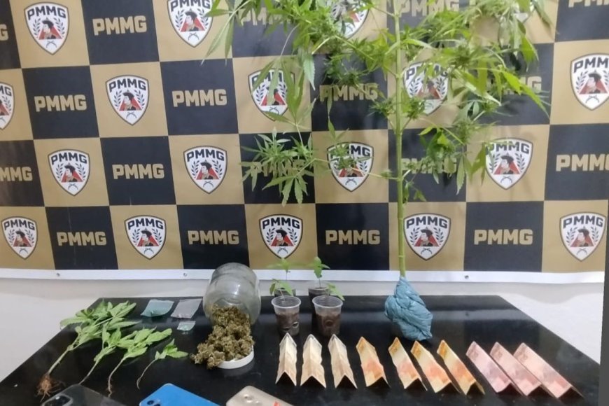 Polícia prende homem acusado de plantar e traficar maconha em Ervália