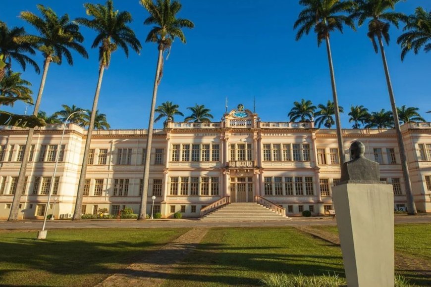 UFV abre concursos para professores