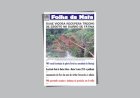 Folha da Mata 3573 - 04/05/2026