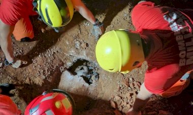 Bombeiros resgatam cadela e filhotes presos em manilha após soterramento em Ponte Nova