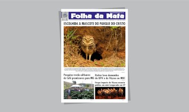 Folha da Mata 3108 - 05/06/2024