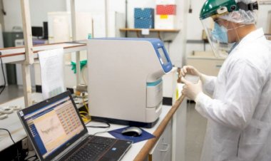 Centro Colaborador de Entomologia da UFV já pode receber amostras para identificação de vetores de importância para a saúde pública