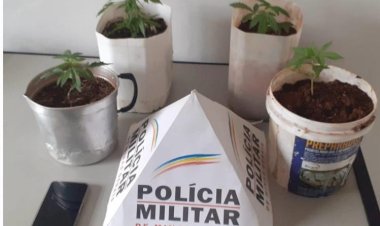 Homem é preso por invasão e plantio de drogas em Ervália