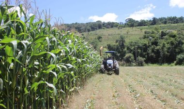 Prefeitura de Viçosa abre inscrições para Programa de Mecanização Agrícola 2024/2025