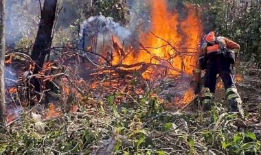 Operação de combate a incêndio na Serra do Brigadeiro entra no 5º dia