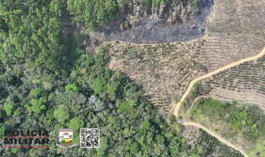 Polícia Ambiental autua homem por incêndio em área de preservação em Ervália