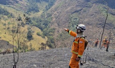 Incêndios florestais na Zona da Mata dobram em relação ao ano passado