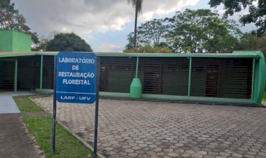 UFV se destaca em congresso nacional de engenharia Florestal