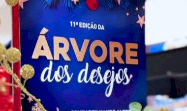 “Árvore de Desejos” recebe brinquedos para crianças de Viçosa