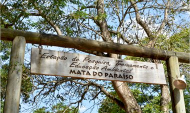 Grupo da UFV promove Trilha Sensorial na Mata do Paraíso