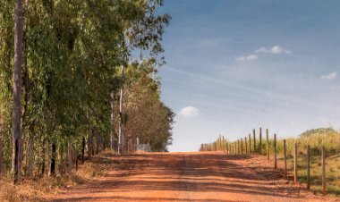 Governo Federal lança Programa de Estradas Rurais para aprimorar escoamento da produção agropecuária
