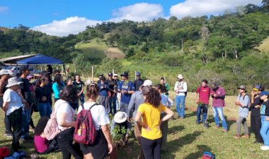 Projeto da UFV promove plantio de mudas neste sábado