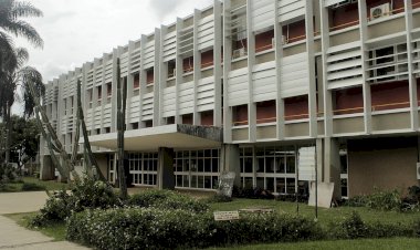 Grupo da UFV promove ciclo de palestra sobre abelhas