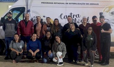 Mutirão de Castração em Ervália atende quase 250 animais
