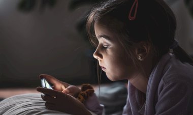 Câmara remarca audiência pública sobre riscos com crianças e adolescentes nas redes sociais