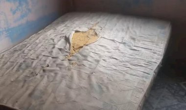 Polícia resgata adolescentes que ficaram em cárcere privado em casa de prostituição em Ubá