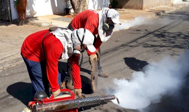 Prefeitura de Paula Cândido realiza dedetização em bueiros da cidade