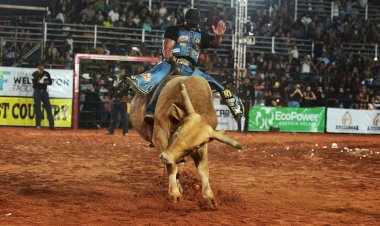 Regularização de Rodeios é tema de audiência na câmara nesta quinta