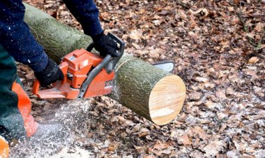 Senar oferece 11 cursos gratuitos para Viçosa e região