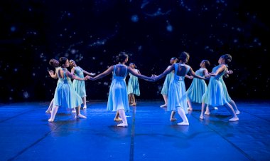 Fernando Sabino recebe Festival do Núcleo de Arte e Dança