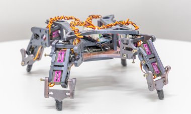 Estudante da UFV desenvolve primeiro robô quadrúpede criado na universidade