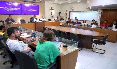 Cessão de lotes do Distrito Industrial de Viçosa é aprovada na Câmara