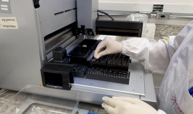 Janeiro Roxo: MG passa a oferecer testes moleculares para hanseníase pelo SUS