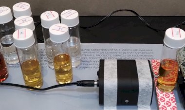 Professora da UFV lidera desenvolvimento de tecnologia para detectar metanol em bebidas adulteradas