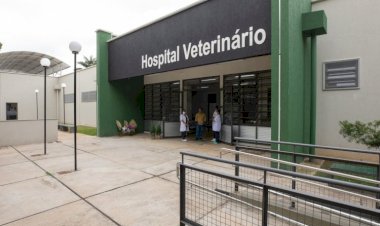 Residência em Medicina Veterinária na UFV abre inscrições