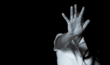 PL propõe prioridade em processos administrativos para vítimas de violência doméstica em Viçosa