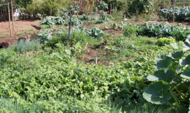 PMV lança projeto Cadrural com mutirão em Córrego Fundo e Pedreira