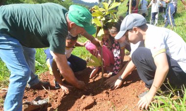 Programa Lençóis Viçosenses e ViJazz promovem plantio de mudas em Viçosa