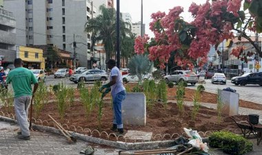 PMV inicia repaginação de praças e jardins com novas espécies de plantas