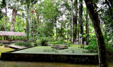 UFV promove visita à museus e espaços de ciências