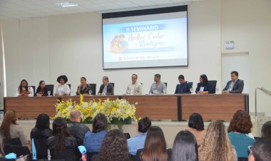 Viçosa sedia 2º Seminário Regional da Família Acolhedora com a presença de 43 municípios