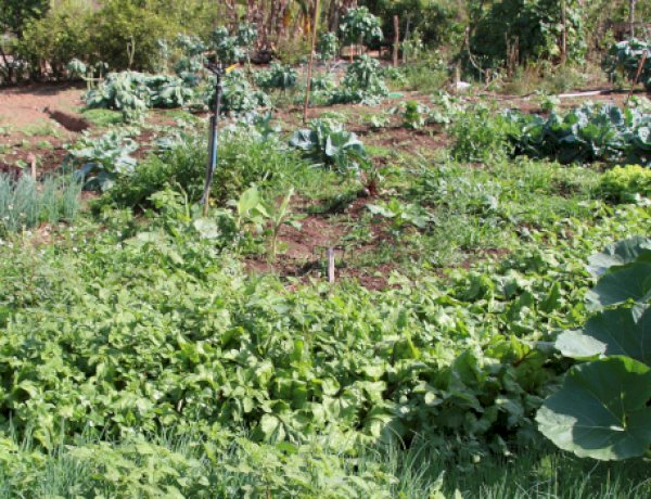 PMV lança projeto Cadrural com mutirão em Córrego Fundo e Pedreira