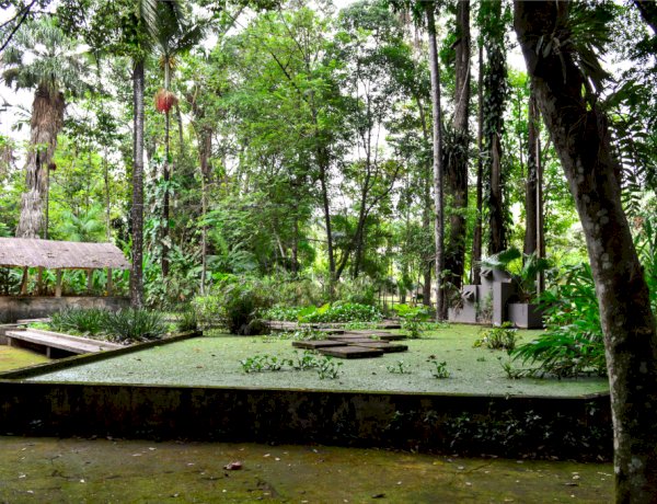 UFV promove visita à museus e espaços de ciências