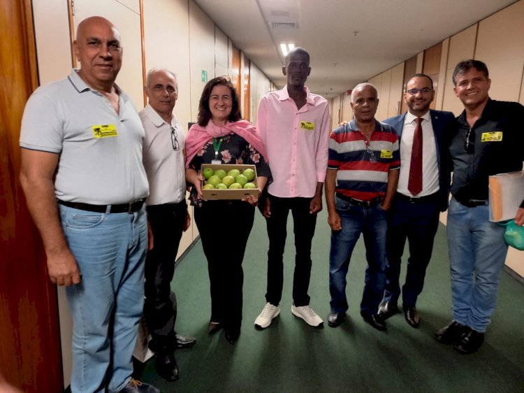 Fruticultores de Paula Cândido querem construir unidade de beneficiamento