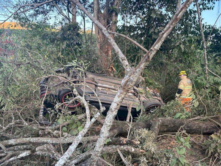 Carro sai da pista e colide contra árvore em Teixeiras