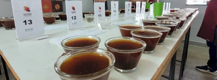 Produtores de Araponga se classificam para a 2ª etapa do Concurso de Qualidade dos Cafés de MG