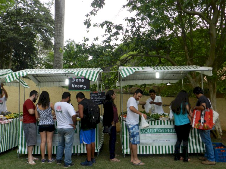 Feira Quintal Solidário promove edição especial de retorno às aulas