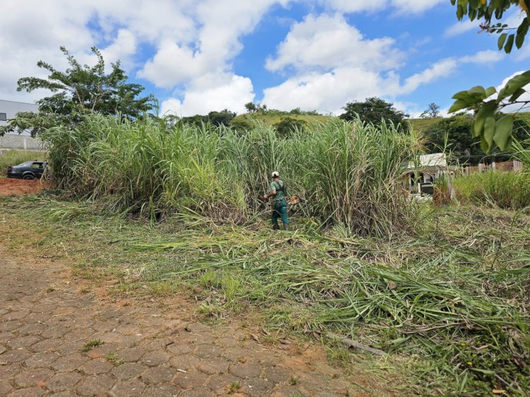 Viçosa tem 1.780 terrenos em estado de abandono