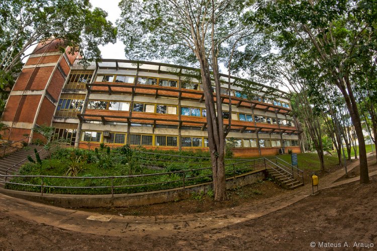 Projeto da UFV promove encontro aberto sobre economia